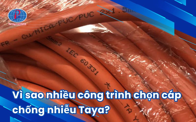 Vì sao nhiều công trình chọn cáp chống nhiễu Taya