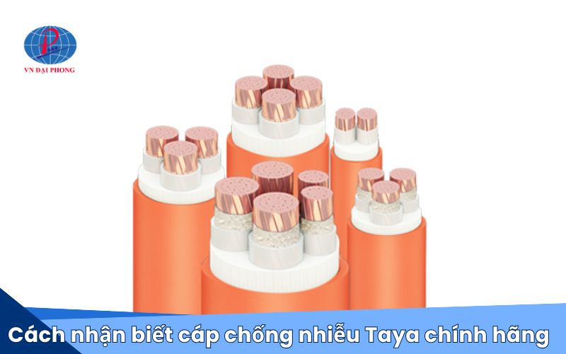 Cách nhận biết cáp chống nhiễu Taya chính hãng
